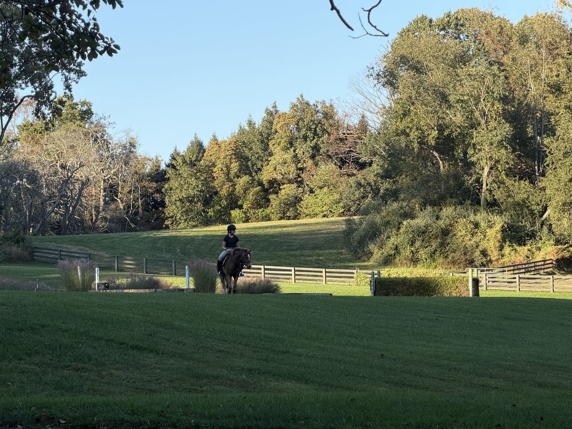 A rider on the grass field at Carbon Ridge Farm in late afternoon light