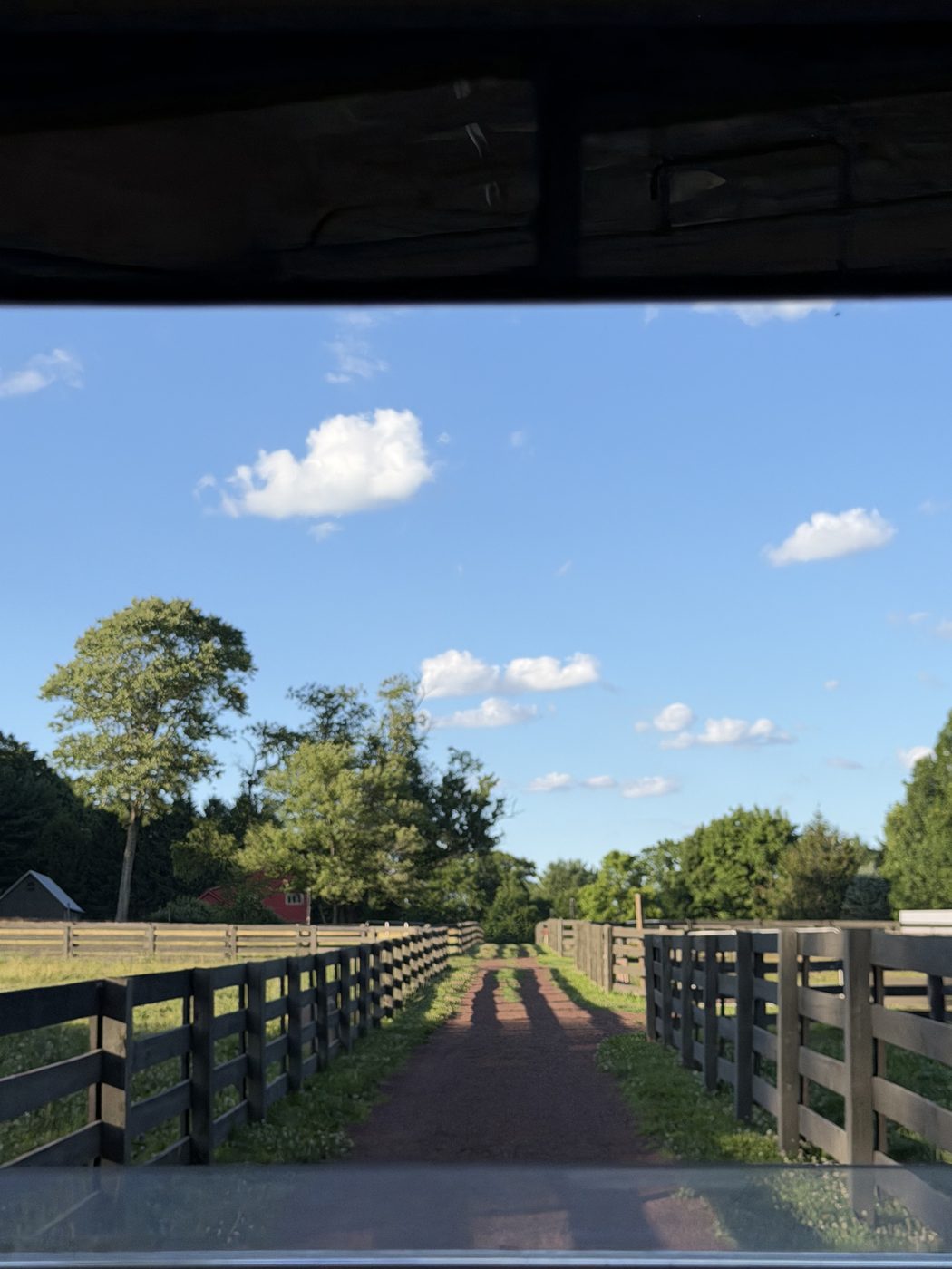A fenced lane running between grass paddocks