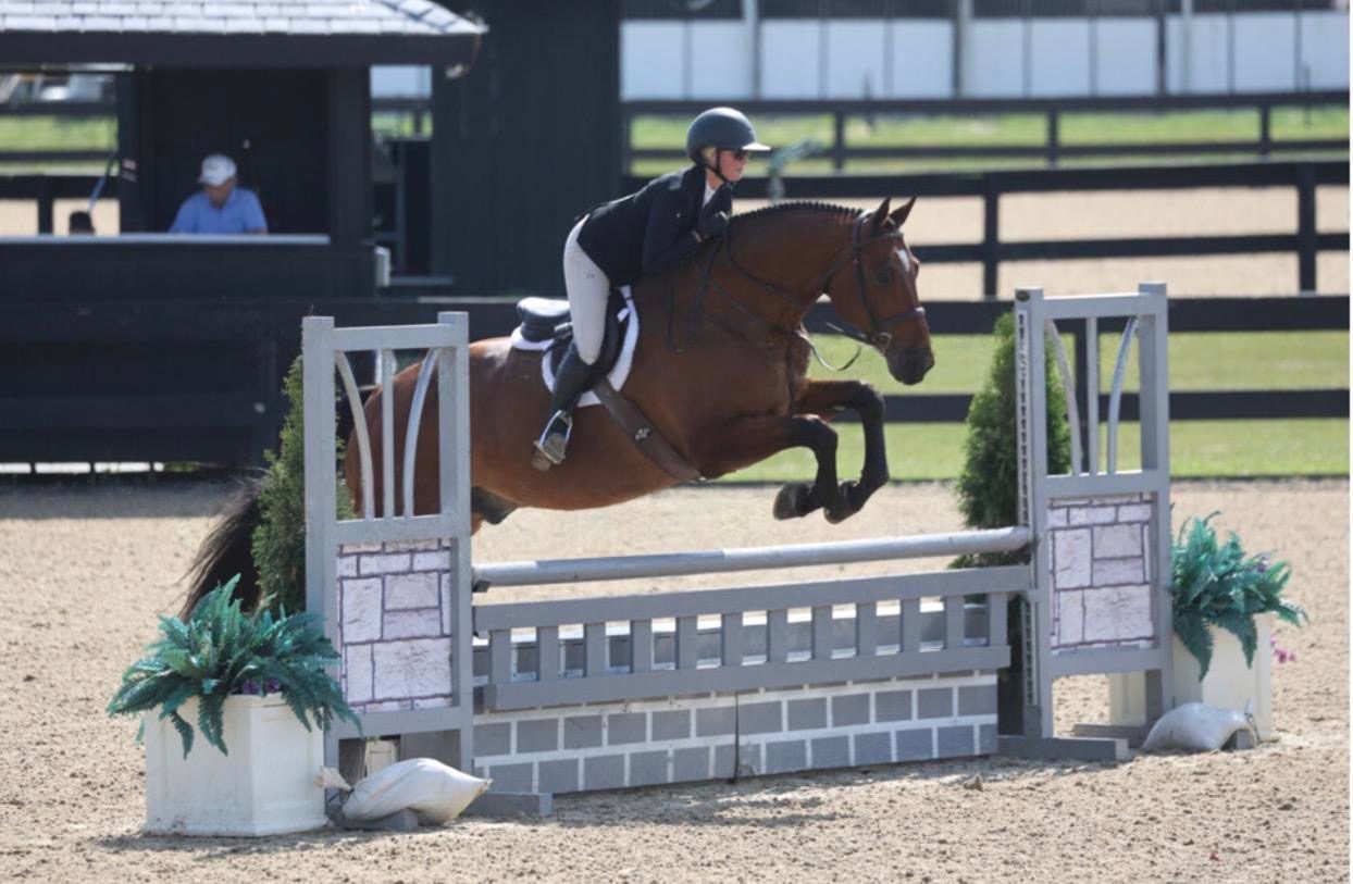 A rider and bay horse over a hunter fence