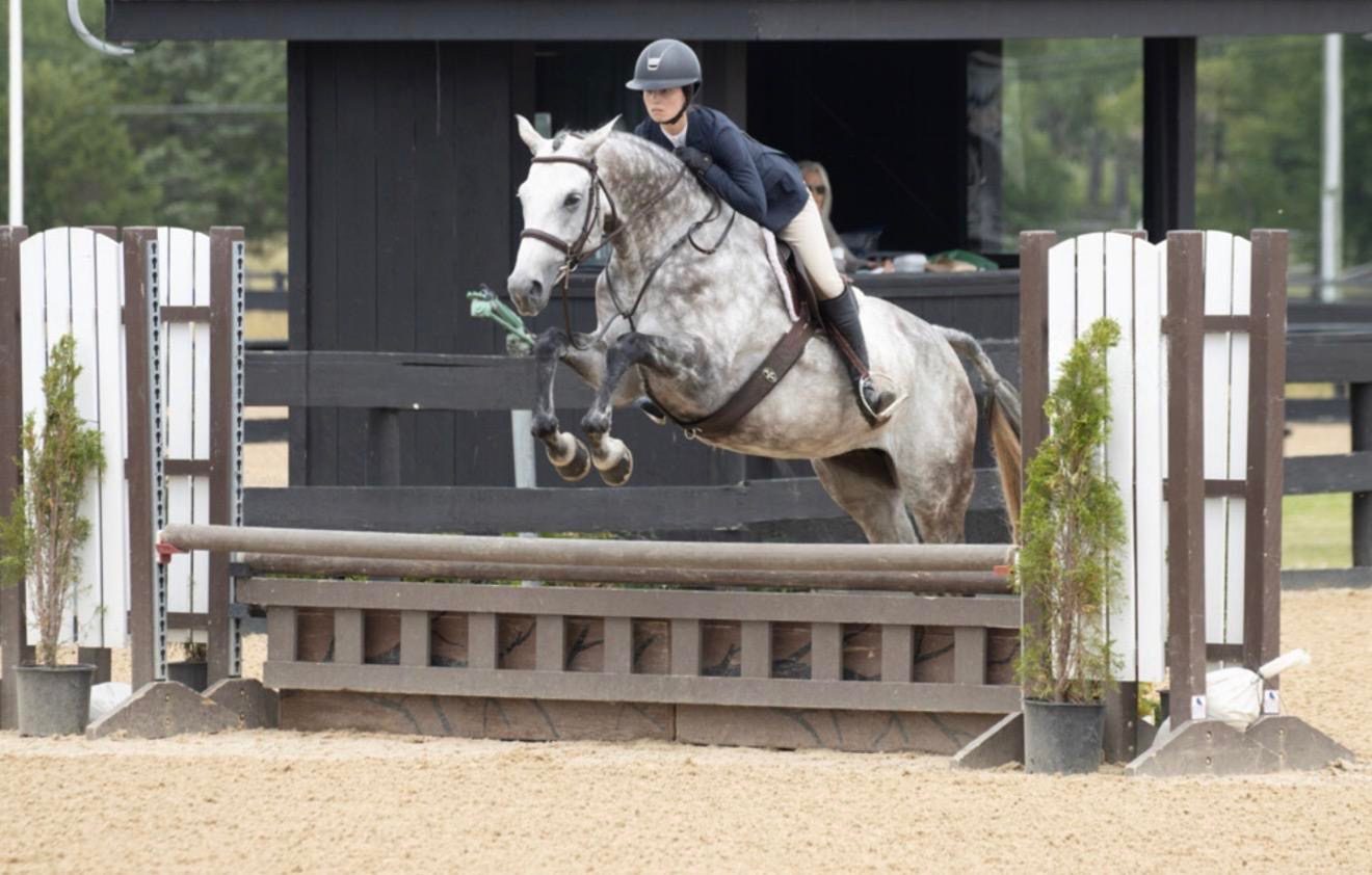 A grey horse jumping a rustic fence